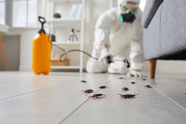 Commercial Kitchen Cockroach Control in Forrest City